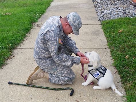 Service dog trainer working with a veteran