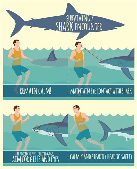 Shark Attack Prevention