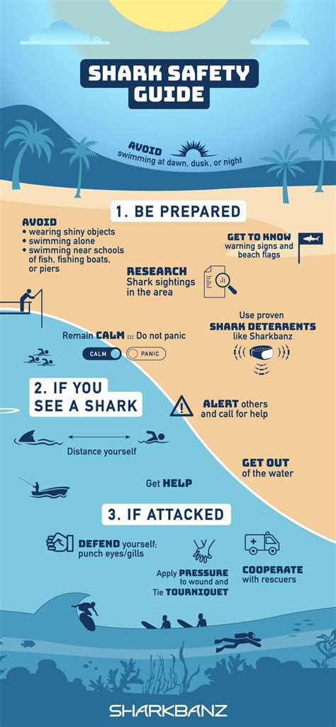 Shark Safety Education