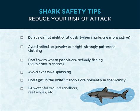 Shark Safety Precautions