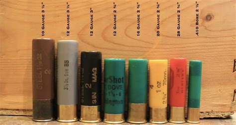 Shotgun Shell Calibers