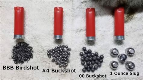 Shotgun Shell Reviews