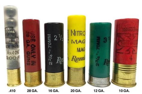 Types of Shotgun Shells