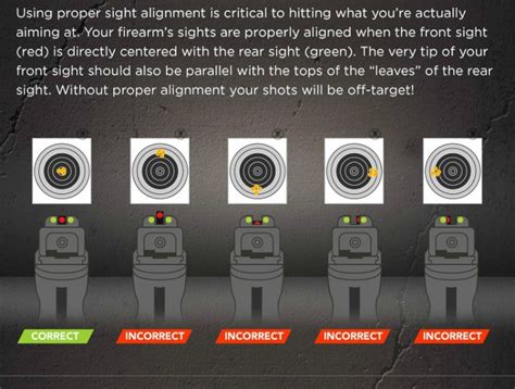 Sighting Techniques for Accurate Shooting