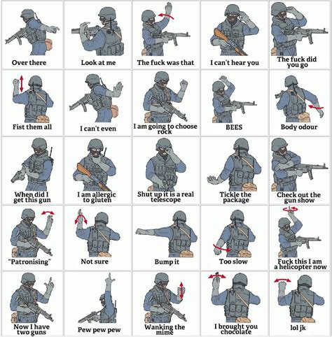 Sign Language in Military Communication