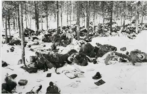 Simo Häyhä with his rifle