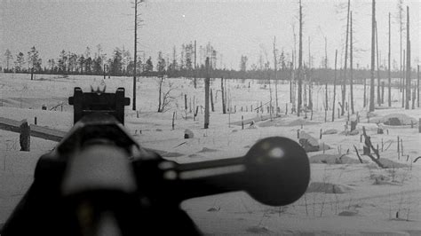 Simo Häyhä in action