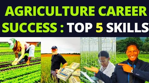 Skills and qualifications for agriculture careers