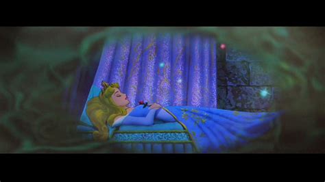 Sleeping Beauty princess print