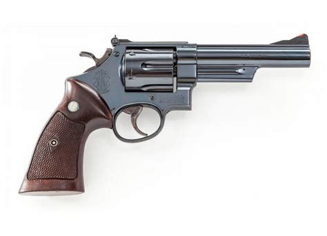 Smith & Wesson Model 29 Variant