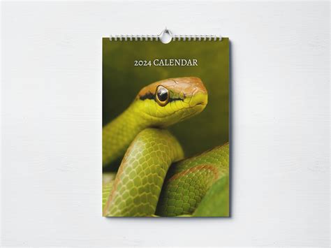 Snake Calendar Gallery 3