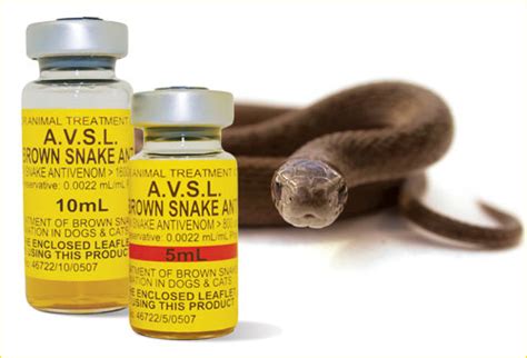 Snake Venom Treatment