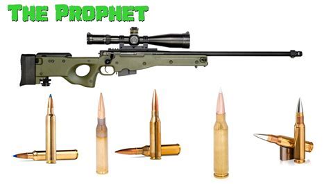 Sniper rifle with scope