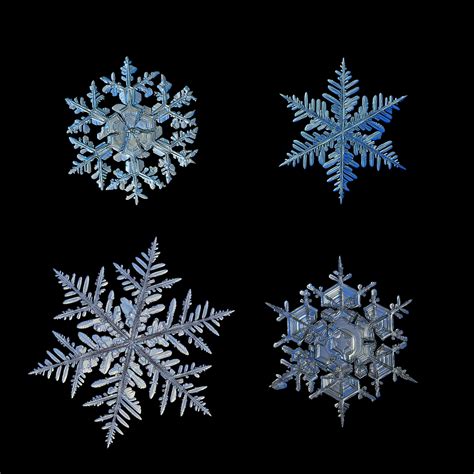 Snowflake Template Gallery