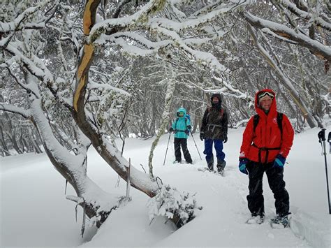 Snowshoeing