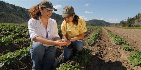 Soil Conservationist