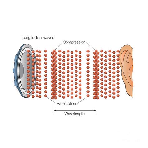 Sound Waves Propagation