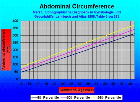 Space Force abdominal circumference