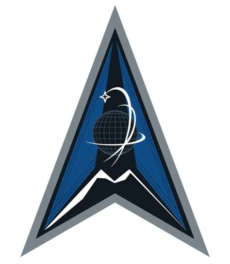 US Space Force Delta Wing