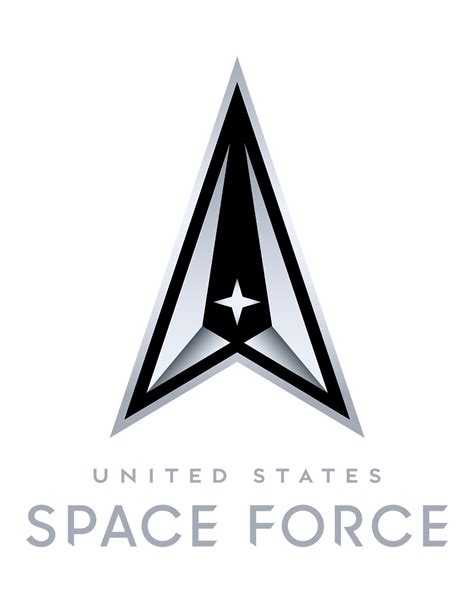 Space Force Logo Design