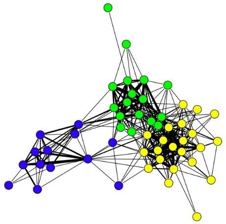 Sparrow Social Structure