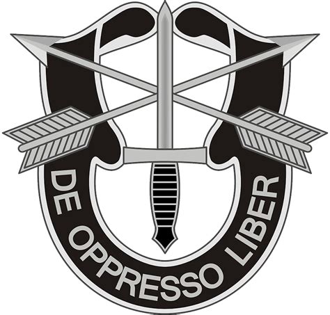 Special Forces Insignia