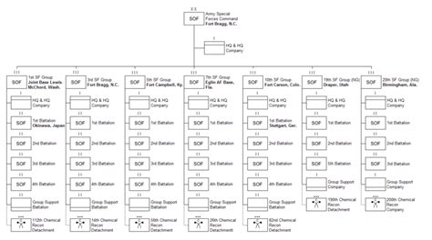 Special Forces Unit Structure