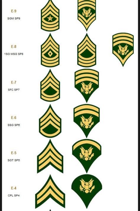 Specialist/Corporal (SPC/CPL) Insignia