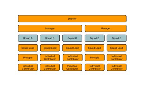 Squad Organization