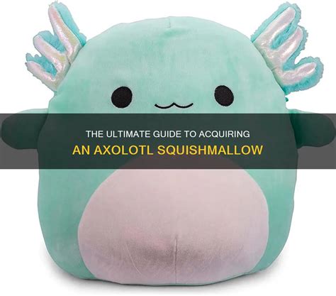 Introduction to Squishmallows