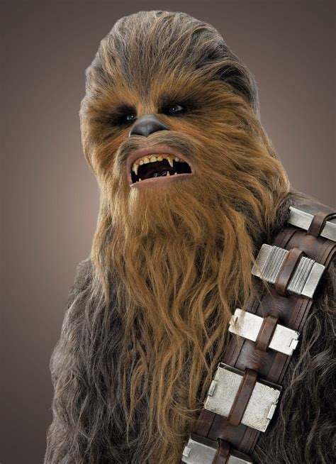 Chewbacca in Star Wars: The Force