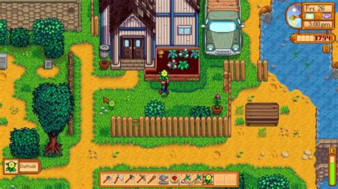 Stardew Valley Socializing