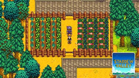 Stardew Valley Summer