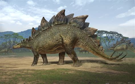 Stegosaurus