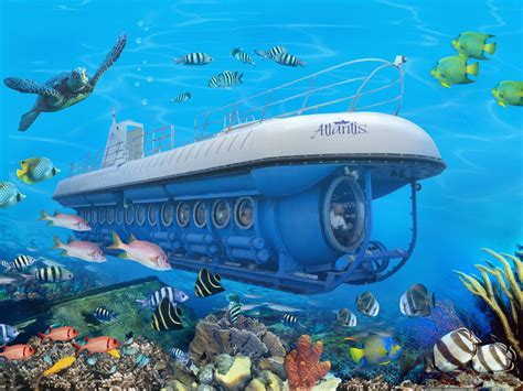 Submarine adventures in the ocean's depths