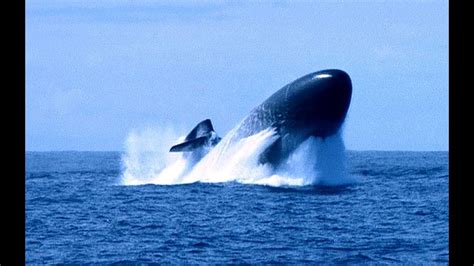 Los Angeles-class submarine USS Olympia (SSN-717) surfacing