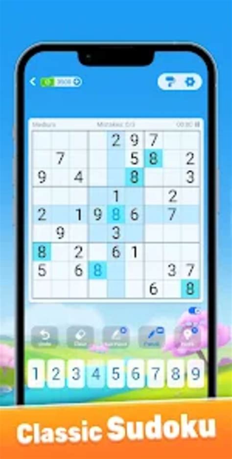 Sudoku variations and themes