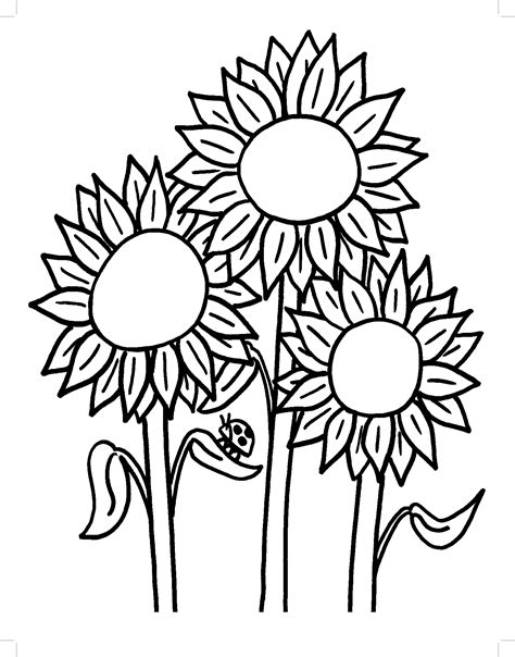 Sunflower coloring pages for relaxation and stress relief