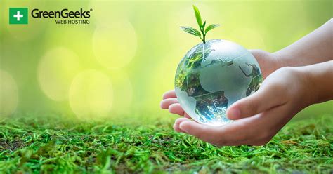 Description of Sustainability and Environmental Awareness