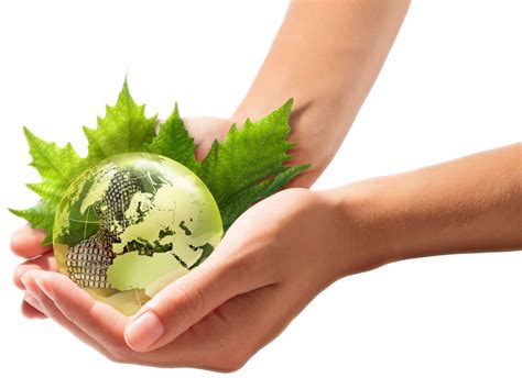 Sustainability and environmental responsibility