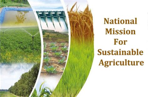 Policy makers discussing sustainable agriculture initiatives