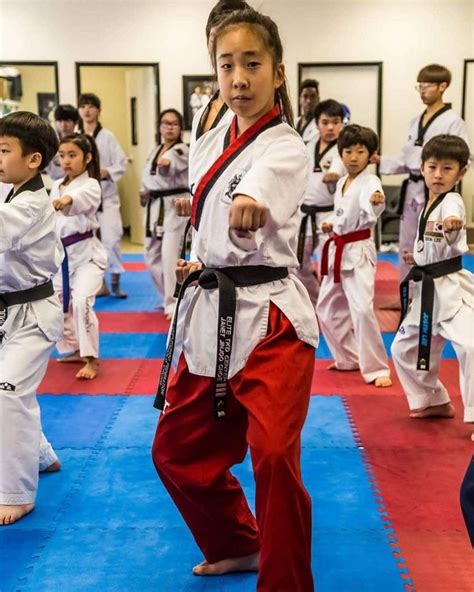 Taekwondo Practitioner in Action