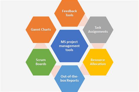 Task Management Features