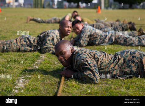 Teamwork and Camaraderie in Marine Training