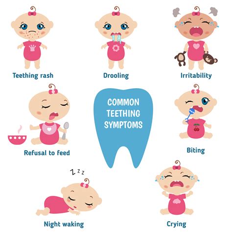 Teething Symptoms