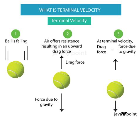 Illustration of terminal velocity concept