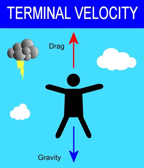 A graph illustrating terminal velocity