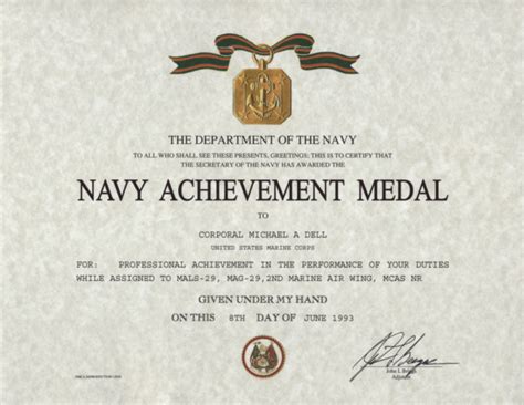 The Navy Achievement Medal