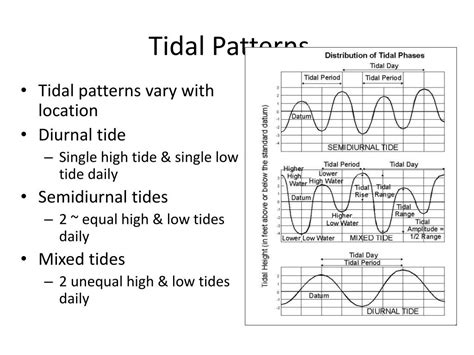 Tidal patterns in Dana Point