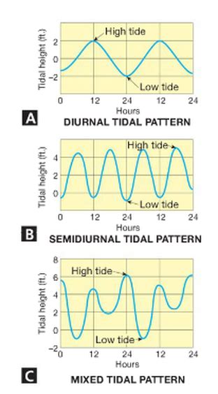 Tide Patterns